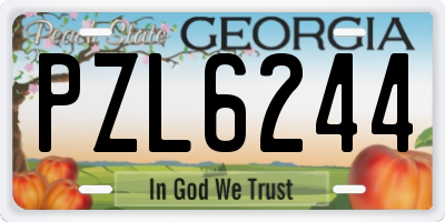 GA license plate PZL6244