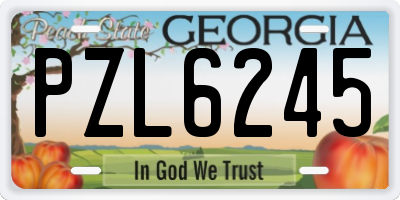 GA license plate PZL6245