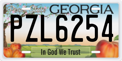GA license plate PZL6254
