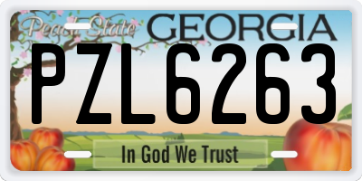 GA license plate PZL6263