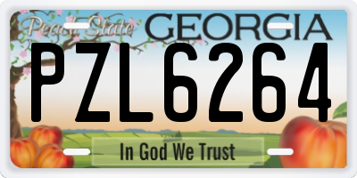 GA license plate PZL6264