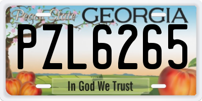 GA license plate PZL6265