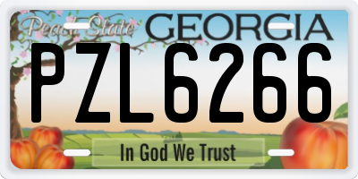 GA license plate PZL6266