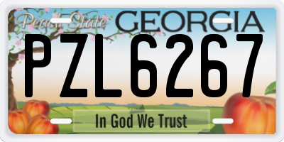 GA license plate PZL6267