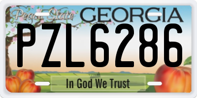 GA license plate PZL6286