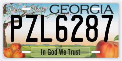 GA license plate PZL6287