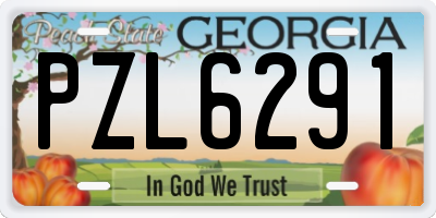 GA license plate PZL6291