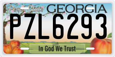 GA license plate PZL6293