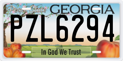 GA license plate PZL6294