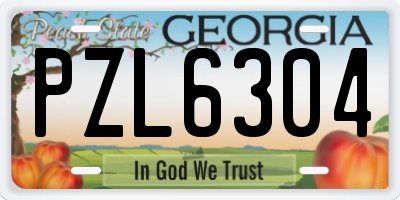 GA license plate PZL6304