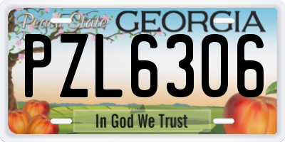 GA license plate PZL6306