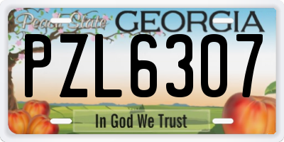 GA license plate PZL6307