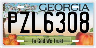 GA license plate PZL6308