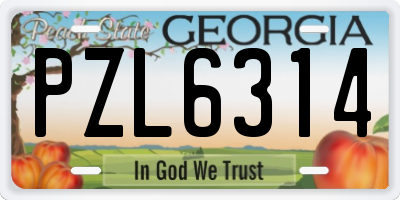 GA license plate PZL6314