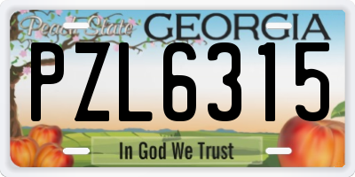GA license plate PZL6315
