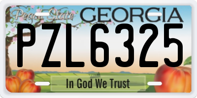 GA license plate PZL6325