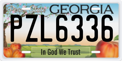 GA license plate PZL6336