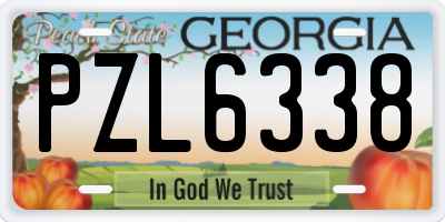 GA license plate PZL6338
