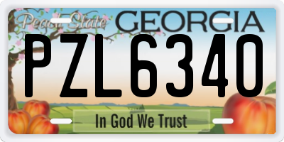 GA license plate PZL6340