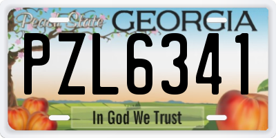 GA license plate PZL6341
