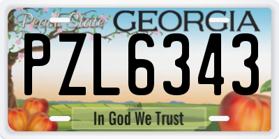 GA license plate PZL6343