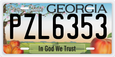 GA license plate PZL6353