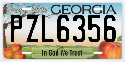 GA license plate PZL6356
