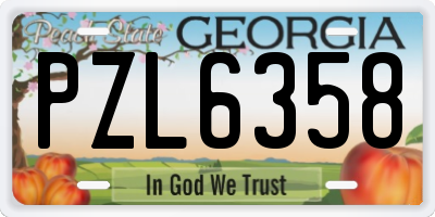 GA license plate PZL6358
