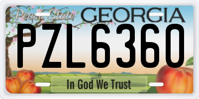 GA license plate PZL6360