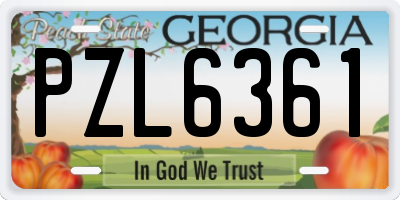 GA license plate PZL6361