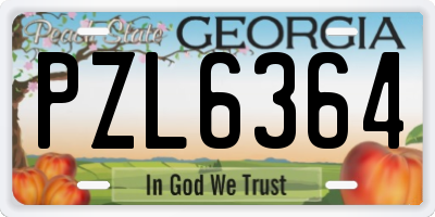 GA license plate PZL6364