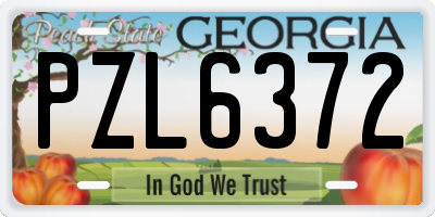 GA license plate PZL6372