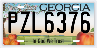 GA license plate PZL6376