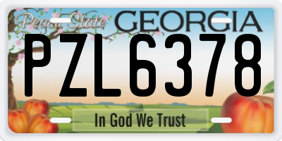 GA license plate PZL6378