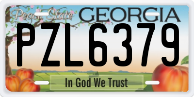GA license plate PZL6379