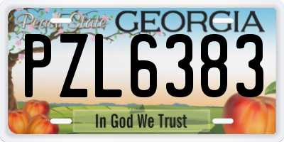GA license plate PZL6383