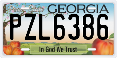 GA license plate PZL6386