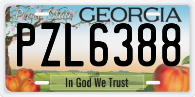 GA license plate PZL6388