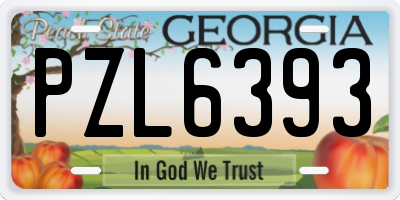 GA license plate PZL6393