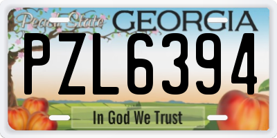 GA license plate PZL6394