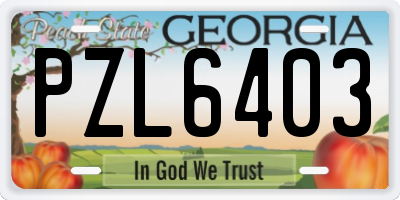 GA license plate PZL6403