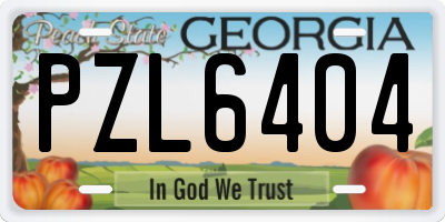GA license plate PZL6404