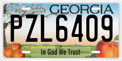 GA license plate PZL6409