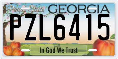 GA license plate PZL6415