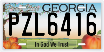 GA license plate PZL6416