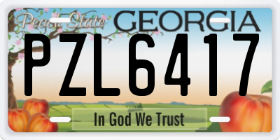 GA license plate PZL6417