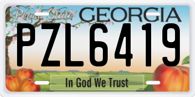 GA license plate PZL6419