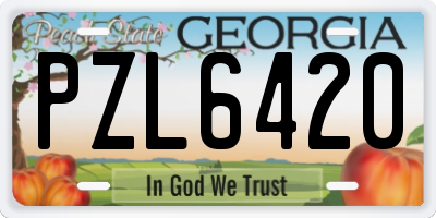 GA license plate PZL6420