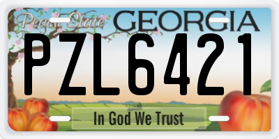 GA license plate PZL6421
