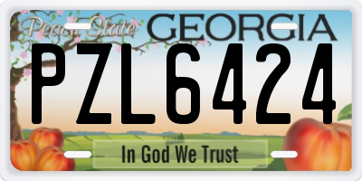 GA license plate PZL6424